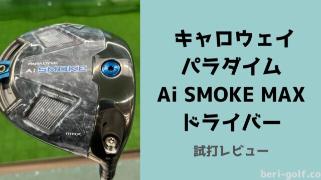 日曜限定❗ パラダイム Ai SMOKE MAX ドライバー9.0° ヘッドのみ